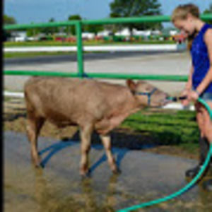 Meet your Posher, Gracie